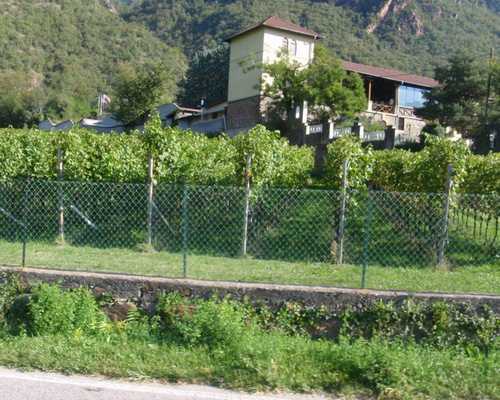 Vineyards reach the city limit.